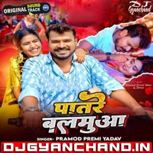 Patare Balamua Mein Ras Pramod Premi Mp3 Song Download ( Hard Vibrate Bass GMS Mix ) - Dj Gyanchand